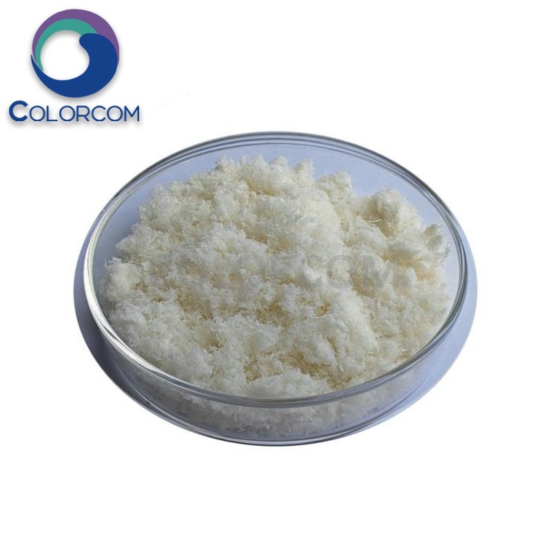 Propylene Glycol Alginate PGA | 9005-37-2